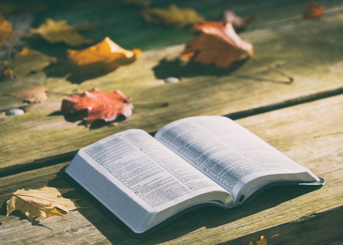 Image - Prier_bible.jpg